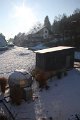 Winter 10.01.2009 004