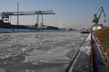 Winter 10.01.2009 013