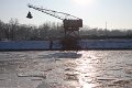 Winter 10.01.2009 015