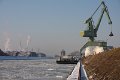Winter 10.01.2009 018