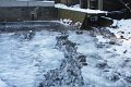 Winter 12.01.09 004