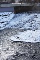 Winter 12.01.09 011