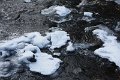 Winter 12.01.09 013