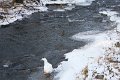 Winter 12.01.09 015