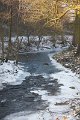 Winter 12.01.09 016
