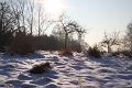 Winter 12.01.09 023
