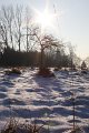 Winter 12.01.09 024
