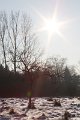 Winter 12.01.09 027