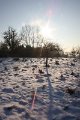 Winter 12.01.09 029