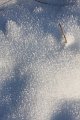 Winter 12.01.09 030