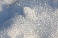 Winter 12.01.09 031