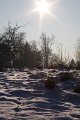 Winter 12.01.09 036