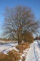 Winter 12.01.09 037