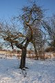 Winter 12.01.09 038