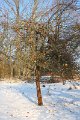 Winter 12.01.09 039