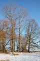 Winter 12.01.09 046