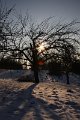 Winter 12.01.09 051