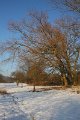 Winter 12.01.09 052