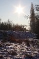 Winter 12.01.09 054