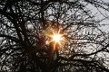 Winter 12.01.09 055