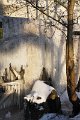 Winter 13.01.09 012