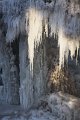 Winter 13.01.09 015