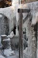 Winter 13.01.09 016