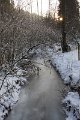 Winter 13.01.09 026