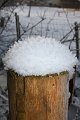 Winter 13.01.09 033