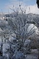 Winter 14.02.2009 011