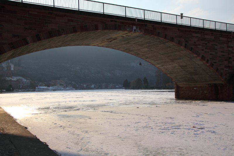 Am_Main_in_Miltenberg_10.02.2012_005.JPG