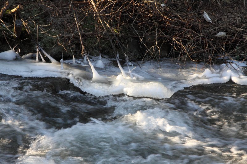 Die_Kahl_in_Moembris_04.02.2012_003.JPG