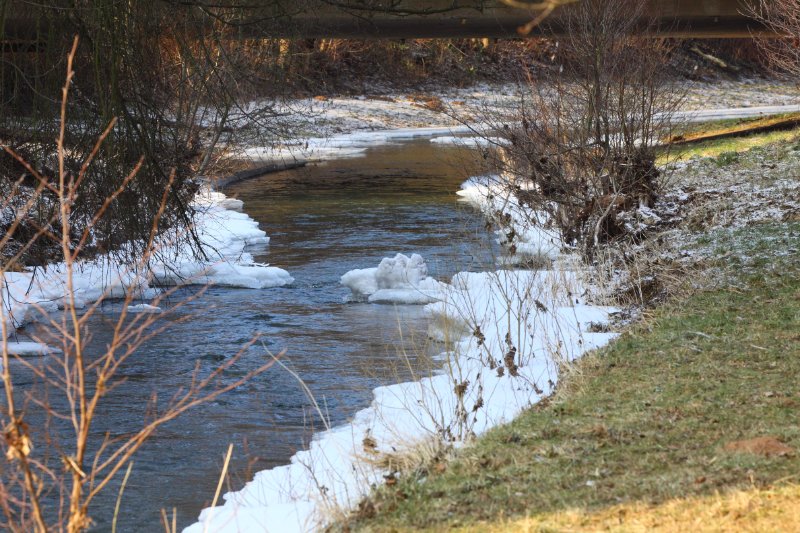Die_Kahl_in_Moembris_10.02.2012_002.JPG