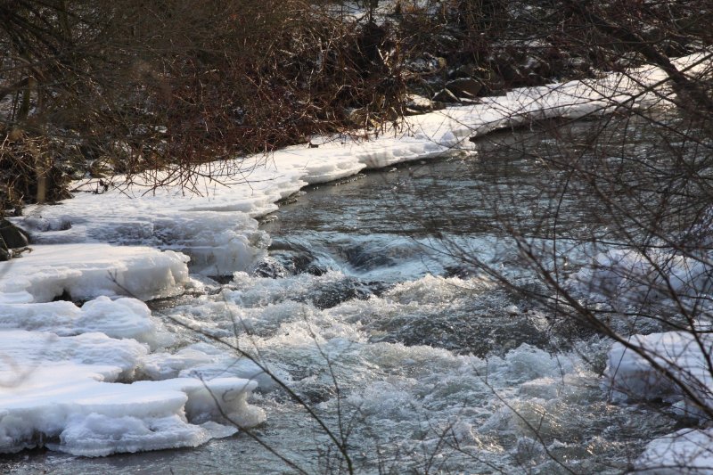 Die_Kahl_in_Moembris_10.02.2012_004.JPG