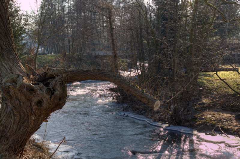 Die_Kahl_in_Stroetzbach_10.02.2012_011.jpg